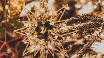 Воробьев: все новогодние елки в Подмосковье зажгут 1 декабря 
