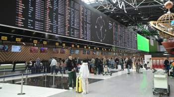 Аэропорт Шереметьево подтвердил сбой в системе обработки багажа