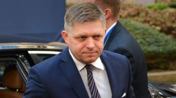 Экс-премьер Словакии обвинил Запад в безумии из-за санкций против России