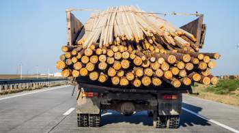Жители Молдавии запасаются дровами на фоне энергетического кризиса