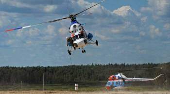 В Удмуртии упал вертолет Ми-2