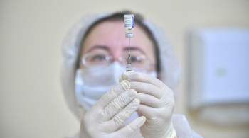 Вакцина от туберкулеза успешно прошла доклинические испытания в  Сириусе  