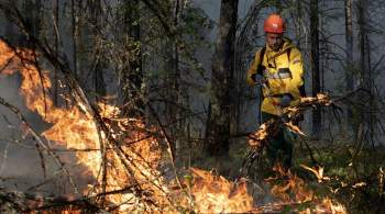 В Якутии за сутки потушили лесные пожары на площади свыше 77 тысяч гектаров