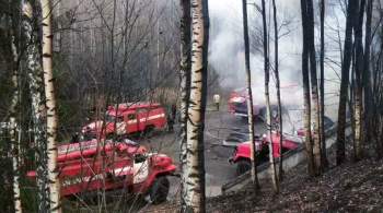 Семьям погибших при пожаре в Рязанской области выплатят по миллиону рублей