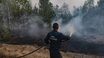 В экопарке в Оренбурге локализовали пожар