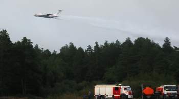 Пожар в Рязанской области локализуют за два дня, заявил глава Рослесхоза