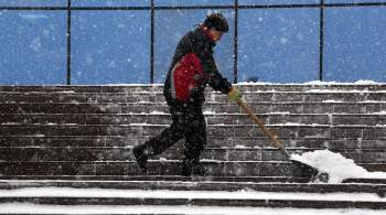 Уборка снега в Москве и Подмосковье подорожала на 15-30% 