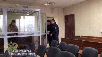 В Приморье автомобилиста, задержанного с погоней и стрельбой, арестовали 
