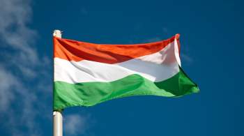 Политолог: Венгрию принуждают действовать во вред себе и в пользу Киева