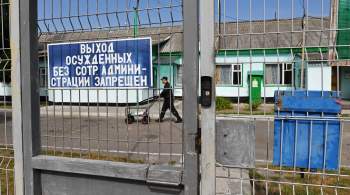 Глава Мордовии рассказал Путину об опыте трудоустройства бывших заключенных 