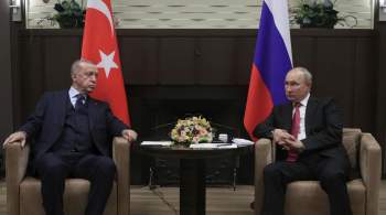 Путин и Эрдоган обсудили гуманитарные аспекты ситуации на Украине