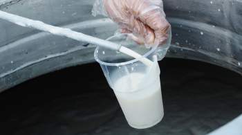 Производство молока в России выросло за год почти на 500 тысяч тонн 