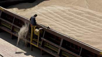 МИД заявил об отсутствии прогресса по российской части зерновой сделки