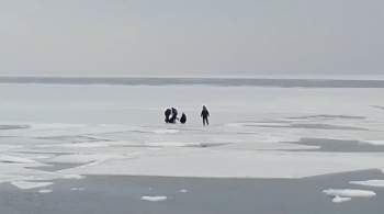 Во Владивостоке оказавшиеся на льдине школьники сами выбрались на берег 