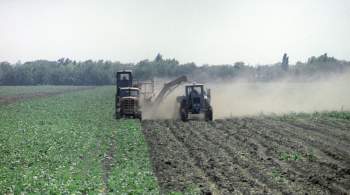 Министры сельского хозяйства G7 пообещали оказать помощь Украине