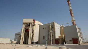Иранская АЭС  Бушер  возобновила работу после устранения неисправности