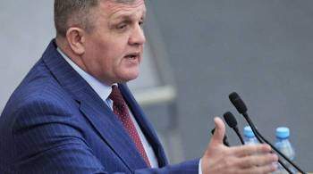 Депутат объяснил важность проекта обращения к Путину о признании ДНР и ЛНР