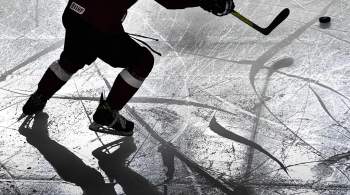 Девятилетний хоккеист погиб в ДТП в Чехии