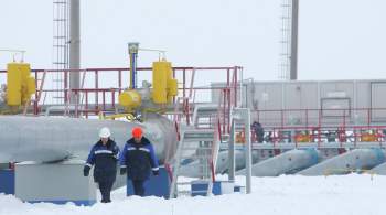 Украина подтвердила максимальный с 4 января объем поставок газа в Европу