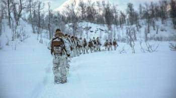 В Эстонии начались учения Winter Camp с участием военнослужащих НАТО
