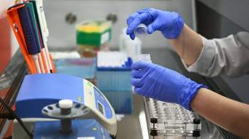Вакцинолог заявил об отсутствии серьезных мутаций коронавируса в этом году