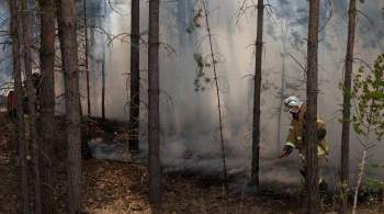 Еще один лесной пожар возник в Подмосковье