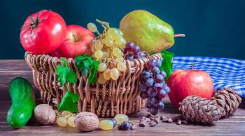 Желчегонные продукты: рацион для здоровья печени и желчного пузыря