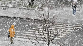 В Москве начался снегопад
