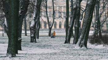 Более 7,7 тыс кубометров снега вывезено за сутки с улиц Петербурга