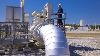 В Австрии заявили об отсутствии альтернативы поставкам российского газа