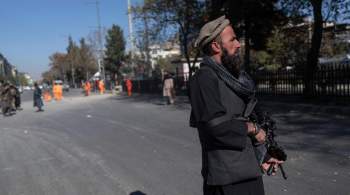 В Афганистане талибы публично высекли двух человек, сообщили источники