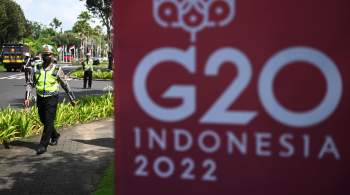 В Кремле прокомментировали состав российской делегации на саммите G20