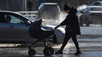 Синоптик рассказала, когда будет первая в декабре оттепель в Москве 