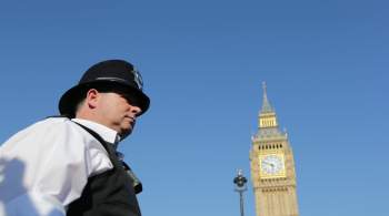 Число задержанных пропалестинских демонстрантов в Лондоне возросло до 29 