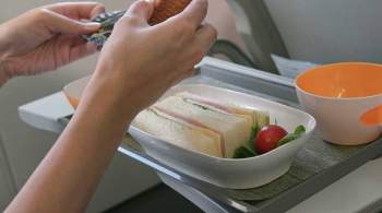 Власти поручили обеспечить едой пассажиров в нижегородском аэропорту 