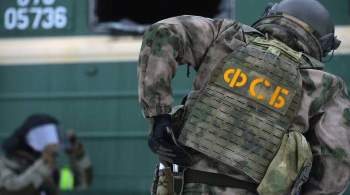ФСБ задержала почти 50 подпольных оружейников в 18 регионах РФ