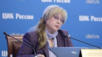 Памфилова заявила о  пороках  петербургской избирательной системы 
