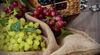 На аукционе в Японии гроздь винограда продали за рекордную сумму