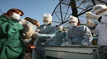 В России выявили 9,5 тысячи новых случаев коронавируса
