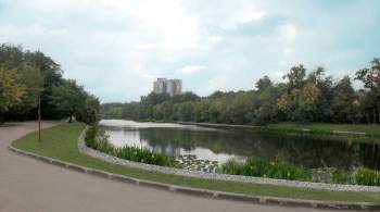 Владимирский пруд на востоке Москвы благоустроят в октябре