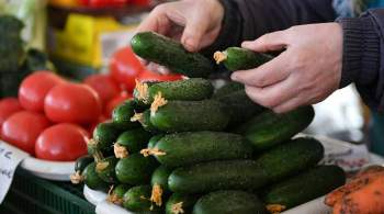В России замедлился рост цен на продукты