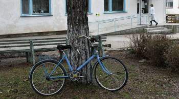 Самарец украл велосипед и ехал на нем 250 км до ломбарда