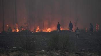 Для ликвидации лесного пожара на Алтае привлекут десантников