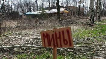 ЛНР обвинила силовиков в хаотичном минировании местности в Донбассе