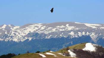 В горах Сочи четвертый день не могут найти пропавшего туриста