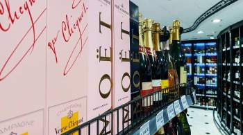 В Минфине пообещали предотвратить перебои с поставками импортного вина