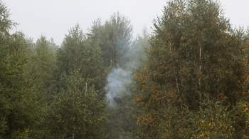 Площадь пожаров в Рязанской области составляет более 180 гектаров