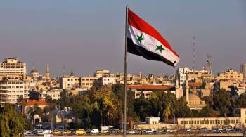 Сирия отвергла доклад ОЗХО по химоружию
