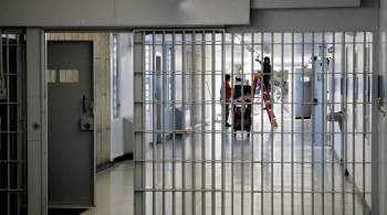 В МИД уточнили, сколько россиян находится в тюрьмах за рубежом