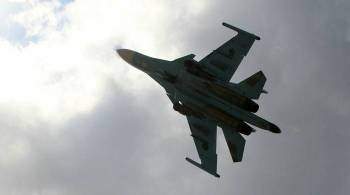 Российские самолеты уничтожили одного из главных боевиков в Сирии
